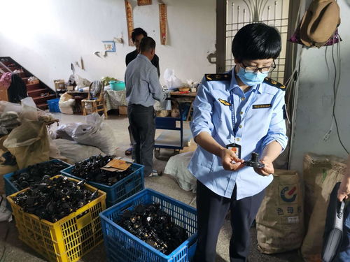 浙江發布打擊侵權假冒商品典型案例，化妝品批發領域成重點